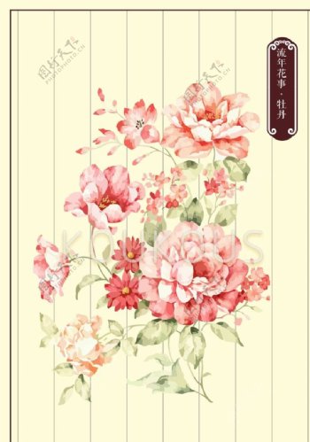 牡丹花花卉素材图片