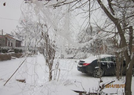 雪景图片