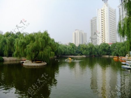 郑州人民公园图片