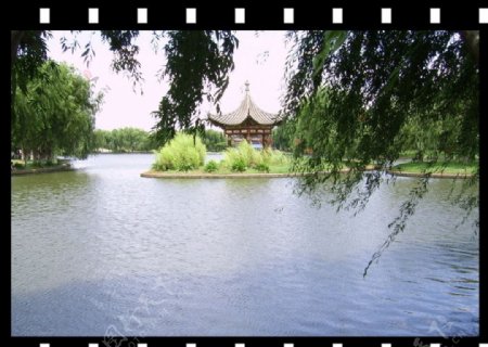 杨柳湖图片