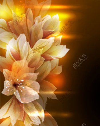 矢量金色光感花卉背景图片