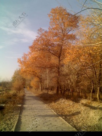 南疆风景图片