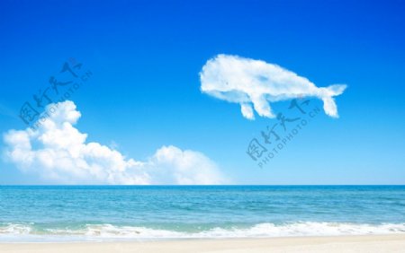 鲸鱼状白云图片