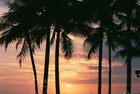 夏威夷夕阳图片
