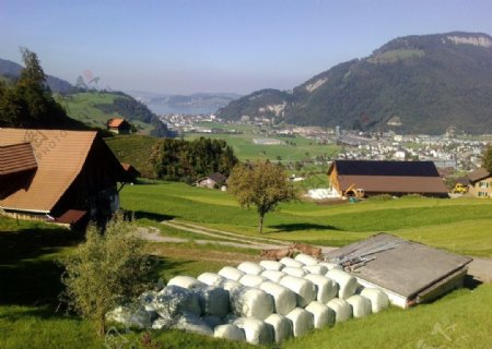 瑞士山地牧场图片