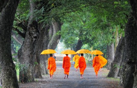 越南僧侣图片