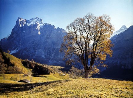 瑞士阿尔俾斯山秋色图片
