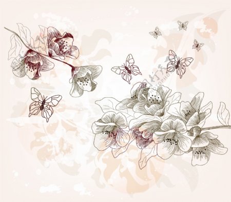 梦幻古典花纹花朵蝴蝶图片
