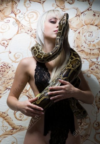 美女与蛇图片