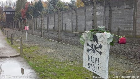 波兰集中营图片