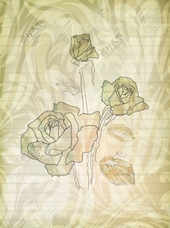 玫瑰花花纹图片