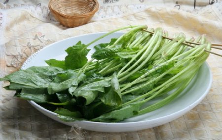 菠菜涮菜涮品图片