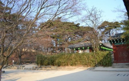 韩国佛国寺图片