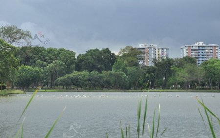 新加坡裕华园湖景图片