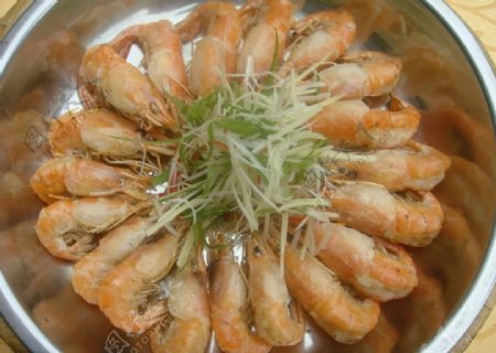 铜盆沼虾图片