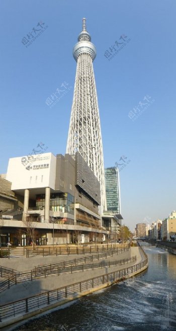 东京晴空塔图片