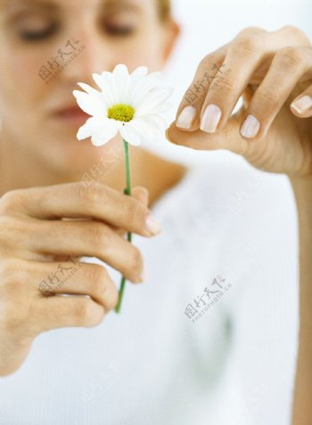 手拿菊花的美女图片