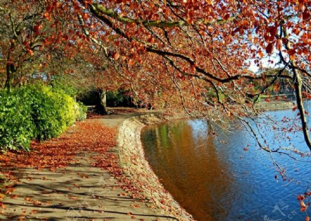 高清秋季湖畔图片