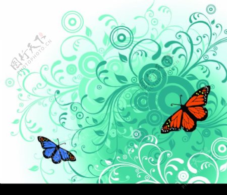 蝴蝶及花纹图片