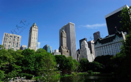 纽约中央公园和周围的建筑图片