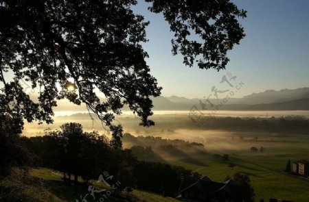 瑞士莱茵山谷的晨雾图片