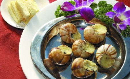 法式烤蜗牛图片