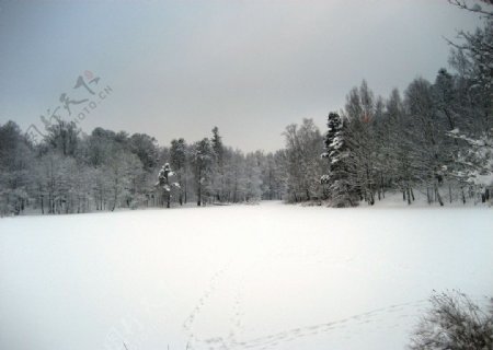 西伯利亚冬季图片