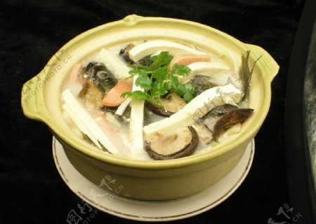 沙锅豆腐黑鱼头图片