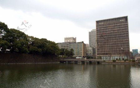 东京皇宫边护城河岸景图片