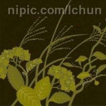 日本传统图案矢量素材26花卉植物图片