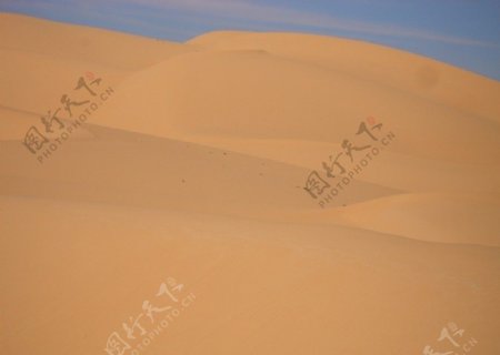 撒哈拉的黄沙图片