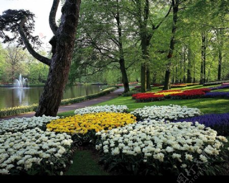 德国花园风景图片