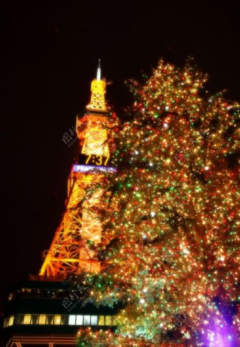 夜晚的圣诞树和塔图片