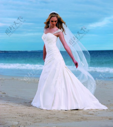 海边穿婚纱的女模特图片