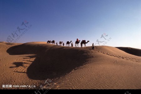印度沙漠图片