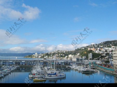 新西兰之旅私人游艇码头图片
