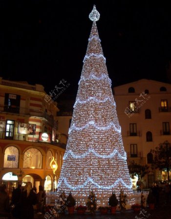 波尔塔诺瓦广场上的圣诞树图片