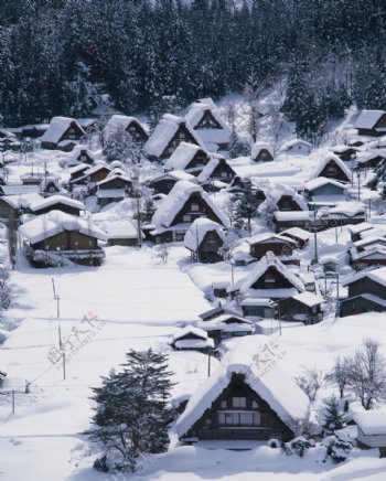 日本雪景图片