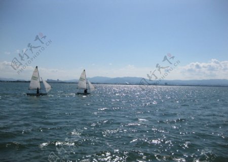 琵琶湖图片