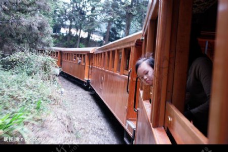 台灣阿里山火車檜木車廂裏的專注图片