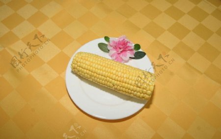 玉米粟米图片