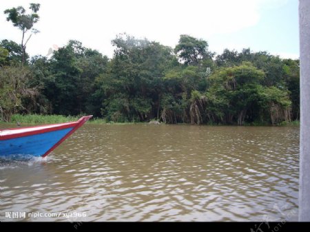 亚马逊河上的游船图片