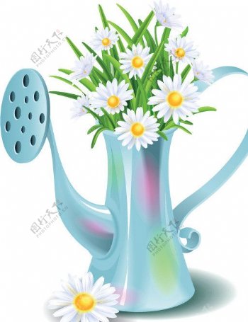 浇水壶花朵花卉图片