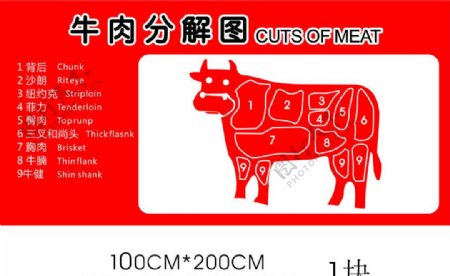 超市牛肉分割图图片