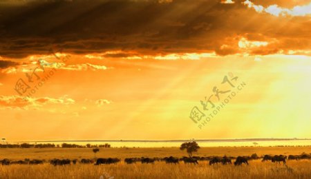 乌干达风景图片