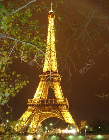 巴黎铁塔夜景灯光夜色图片