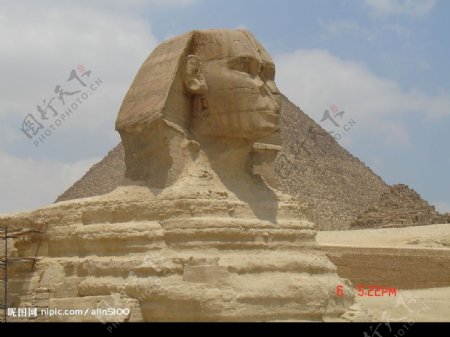 埃及人面獅身图片