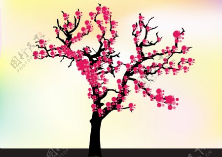 樱花树桃花树图片