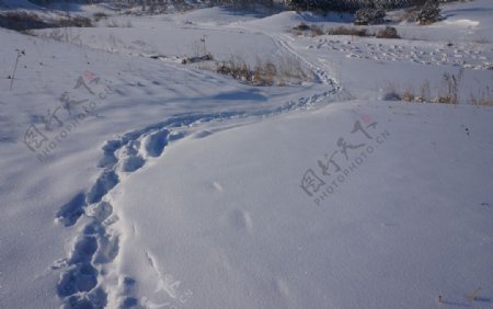 雪脚印痕迹图片