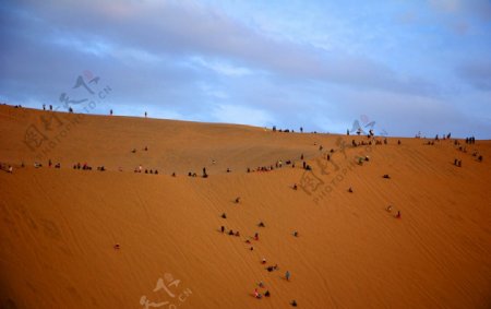 黄昏沙漠景色图片